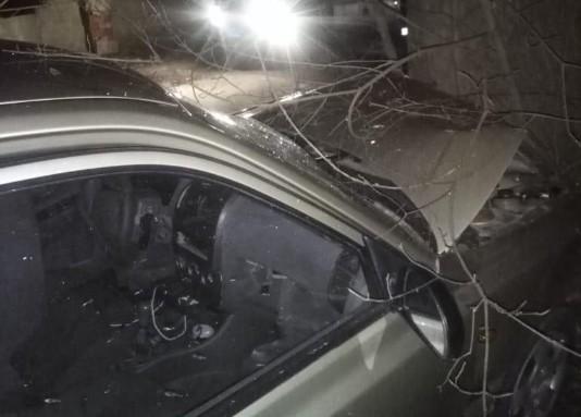 Иномарка врезалась в дерево под Ставрополем, 4 человека получили травмы